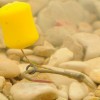 Korda pop up Dumbell yellow pop up | TRIBAL-FISHING.com Korda pop up Dumbell yellow pop up | TRIBAL-FISHING.com