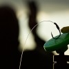 Магнит за безопасен кастинг KORDA Zig Magnet | TRIBAL-FISHING.com