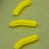 Алайнери OMC DAZZLERS CORNALIGNER INTURN Large | TRIBAL-FISHING.com Алайнери OMC DAZZLERS CORNALIGNER INTURN Large | TRIBAL-FISHING.com