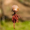 Коплект за монтаж на мека стръв OMC TWEAKERS WORMURAI SPRIG STOP KIT | TRIBAL-FISHING.com Коплект за монтаж на мека стръв OMC TWEAKERS WORMURAI SPRIG STOP KIT | TRIBAL-FISHING.com